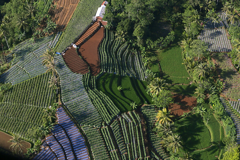 Biodiversity in agricultural landscapes finally on conservation agendas