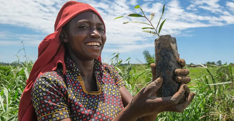 Ingin Tahu Di mana Pohon (Paling Banyak) Tumbuh? Bertanyalah kepada TreeGOER