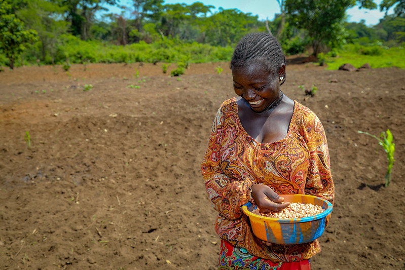 Paving the way for a green and resilient Northern Cameroon