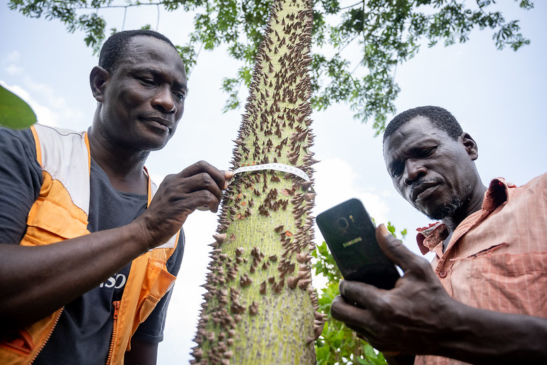 On trees and robots: How AI can serve climate solutions