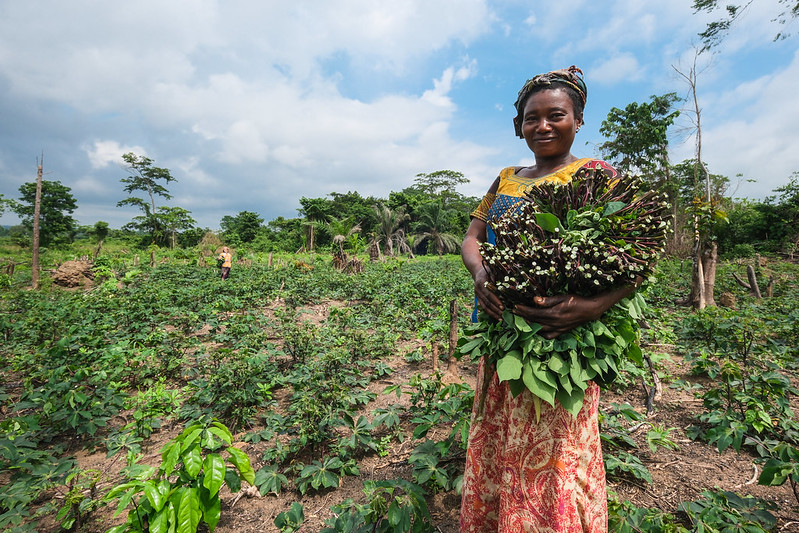 To fix the climate, think of food, soils, and trees