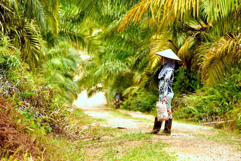 New roadmap charts course to greener trade