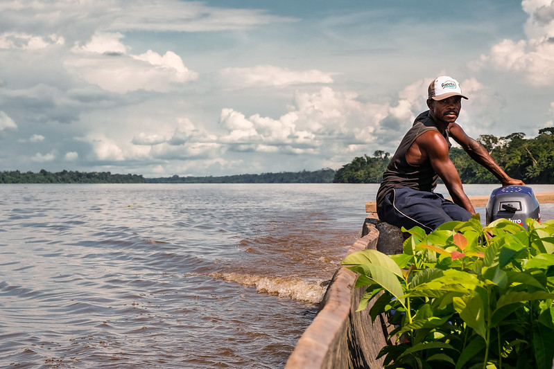 EU’s flagship conservation initiative looks back on 30 years in Central Africa