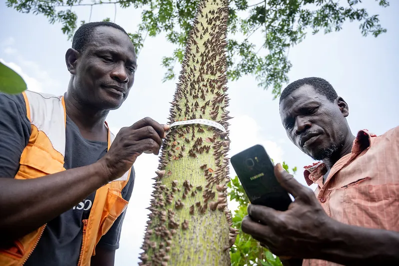 Tentang Pohon dan Robot: Bagaimana AI Bisa Menjadi Solusi Iklim