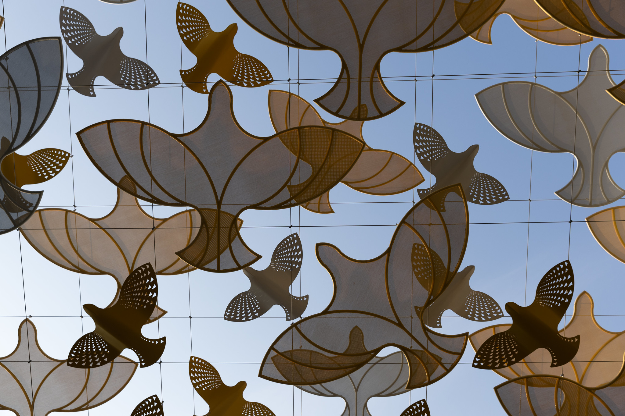 COP28: Países llaman a un abordaje conjunto de las crisis del clima y la biodiversidad