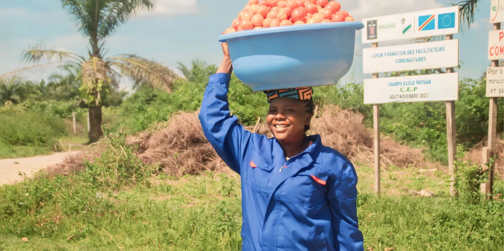 Les premiers fruits des champs écoles paysans dans le Paysage de Yangambi, RDC