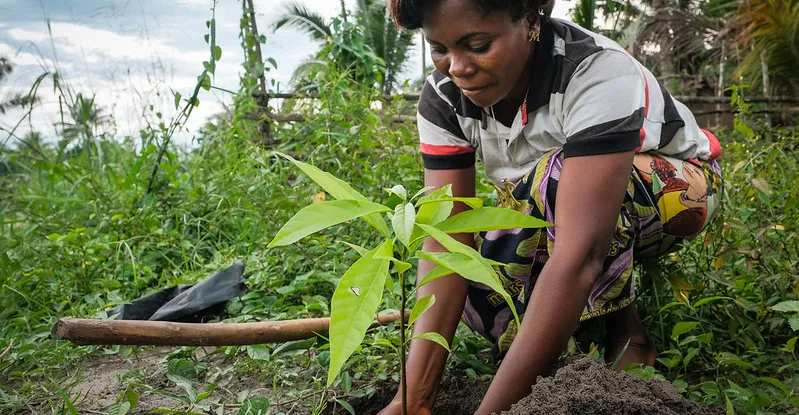 Comment la RDC peut-elle réduire ses émissions de CO2 ?