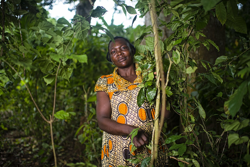 Cameroon: To restore landscapes, protect customary rights-holders