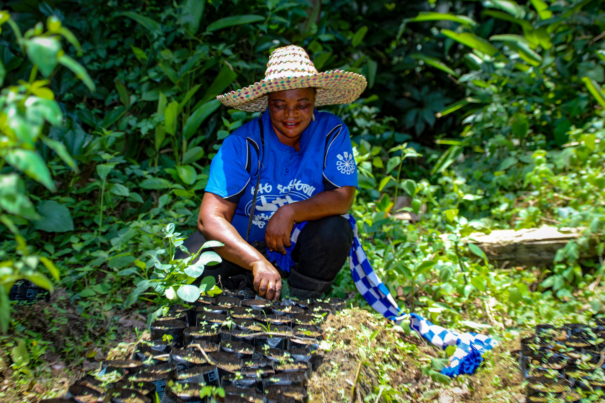 Sertifikasi Pertama untuk Inisiatif Ramah Biodiversitas Segera Diluncurkan