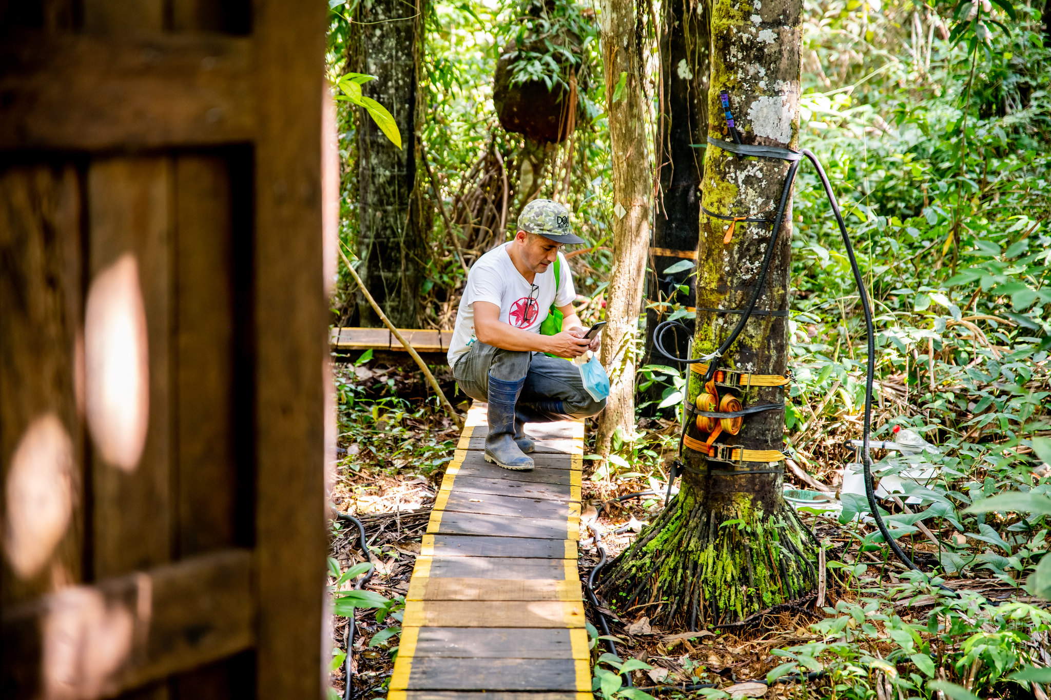 La transparencia es esencial para avanzar la acción por el clima
