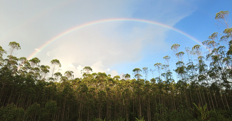 There’s a rainbow in the clouds of climate change – if we act now