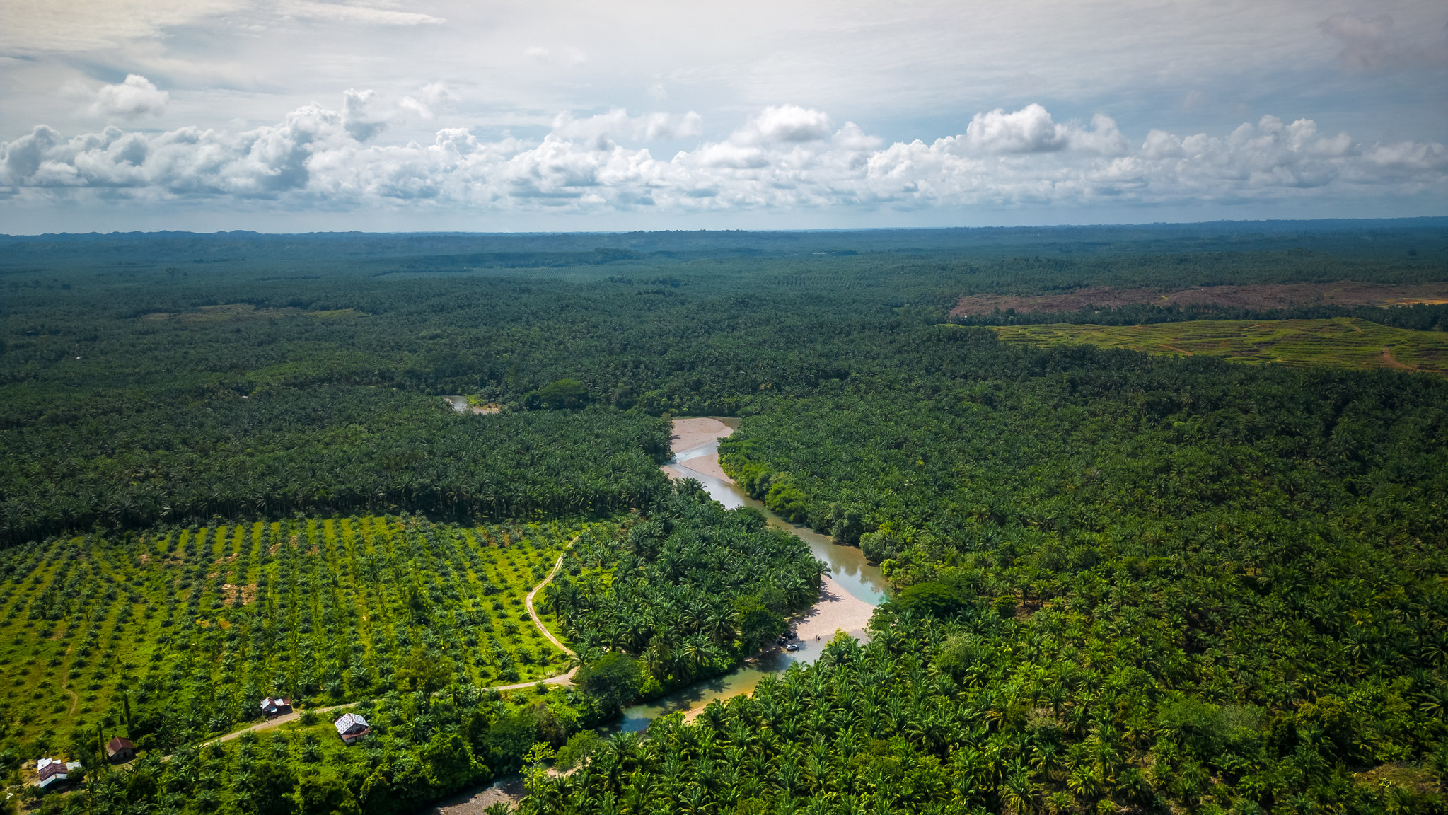 Keluar dari ‘Paradoks Menara Gelembung’: Pendekatan Yurisdiksi dapat Membantu Komoditas Lebih Berkelanjutan