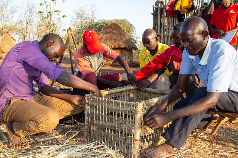 Vizimumba’s bamboo renaissance