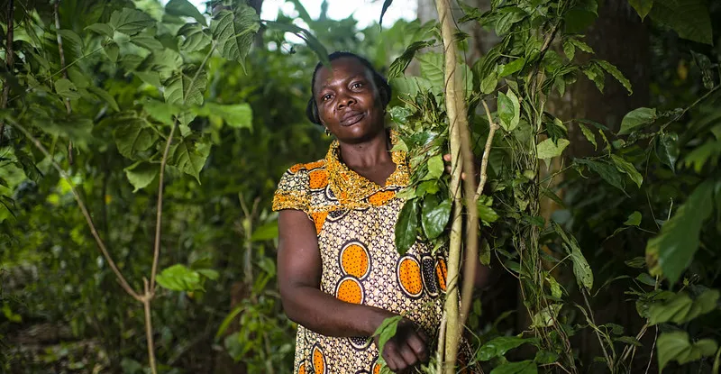 Cameroun: protéger les ayants droit coutumiers pour mieux restaurer les paysages