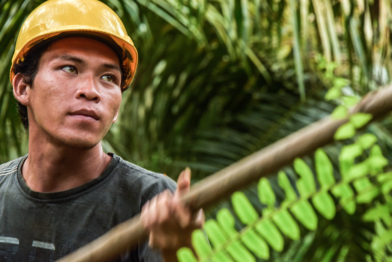 Context is key to securing sustainable palm oil, say Indonesia’s regional reps