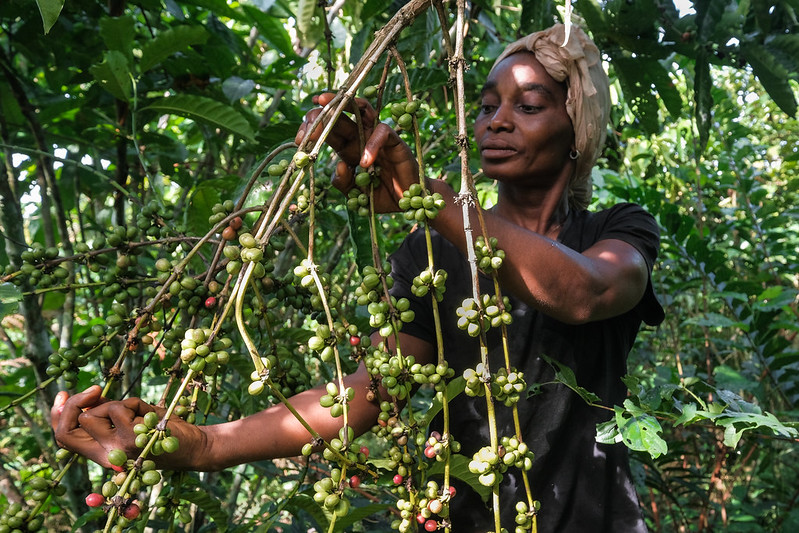 Can agroecology break dependence on synthetic fertilizer?