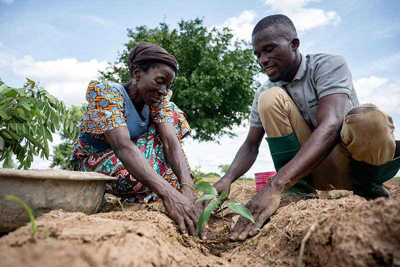 Is ecosystem restoration sufficiently guided by evidence?
