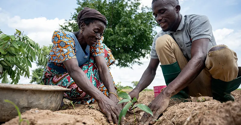 Restauration en Afrique : Les Communautés et les Évidences au Cœur de la Réussite
