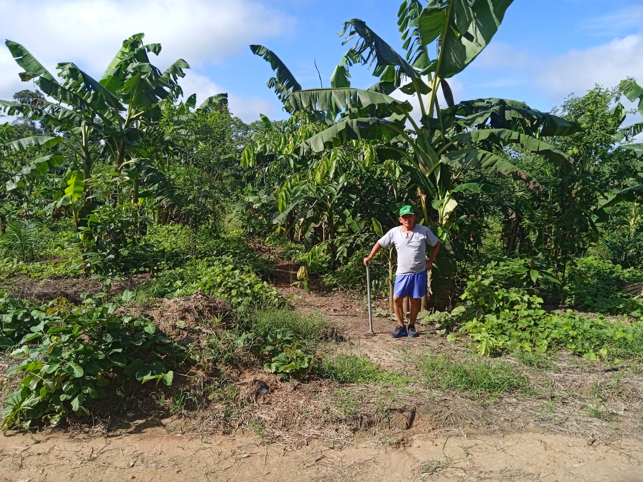 Opções por Contexto, uma abordagem científica adequada às agroflorestas