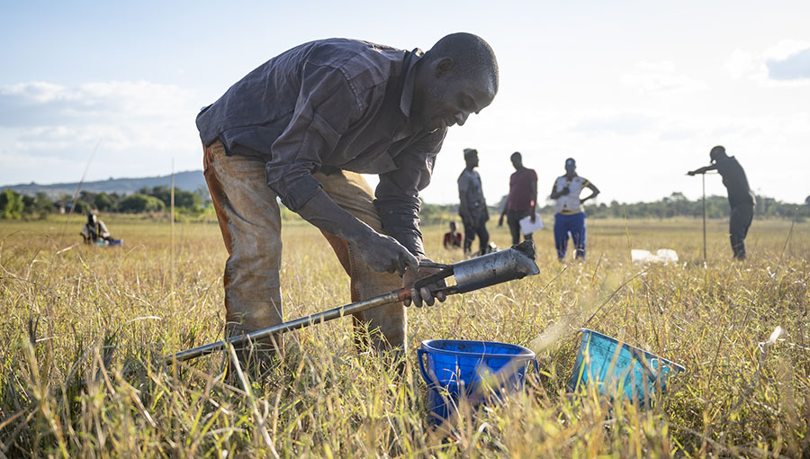 World leaders at COP28 urged to prioritize soil health in climate plans