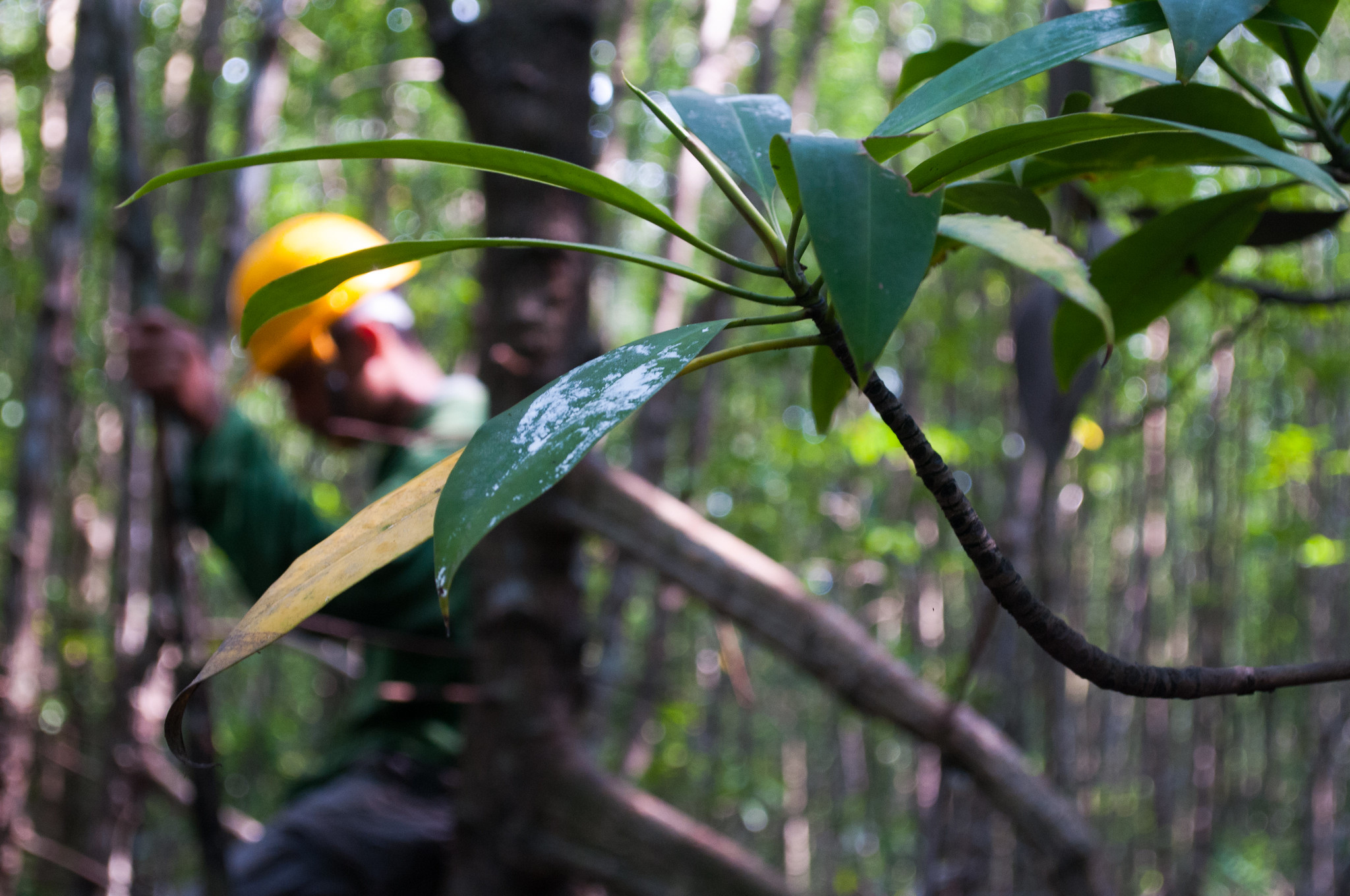 Bersama, Kita Bisa Membalik Gelombang