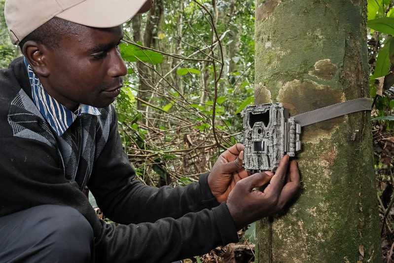 Innovation in forestry: Where it’s happening, why it matters