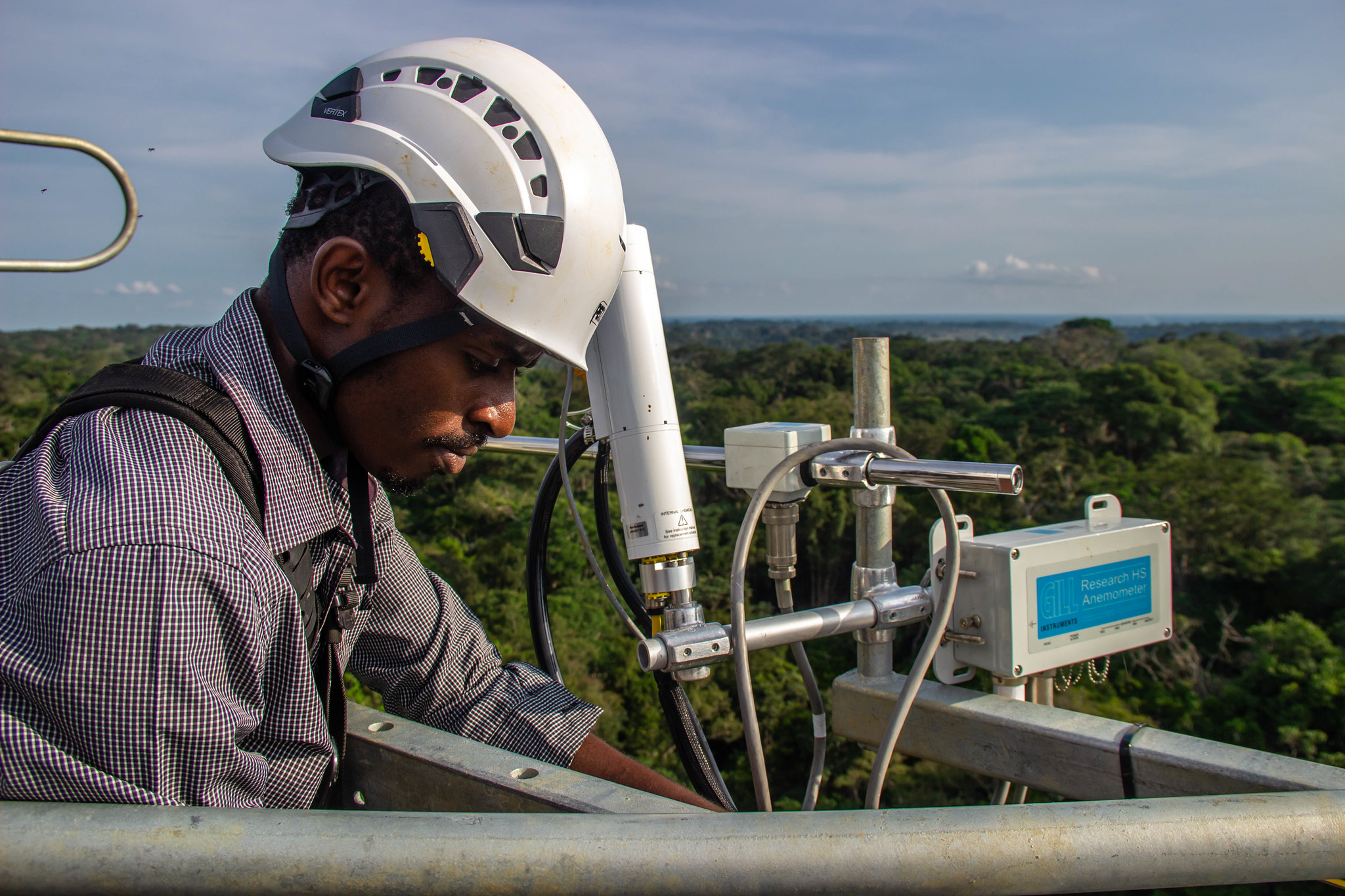 Inovasi Kehutanan: Lokasi dan Urgensinya