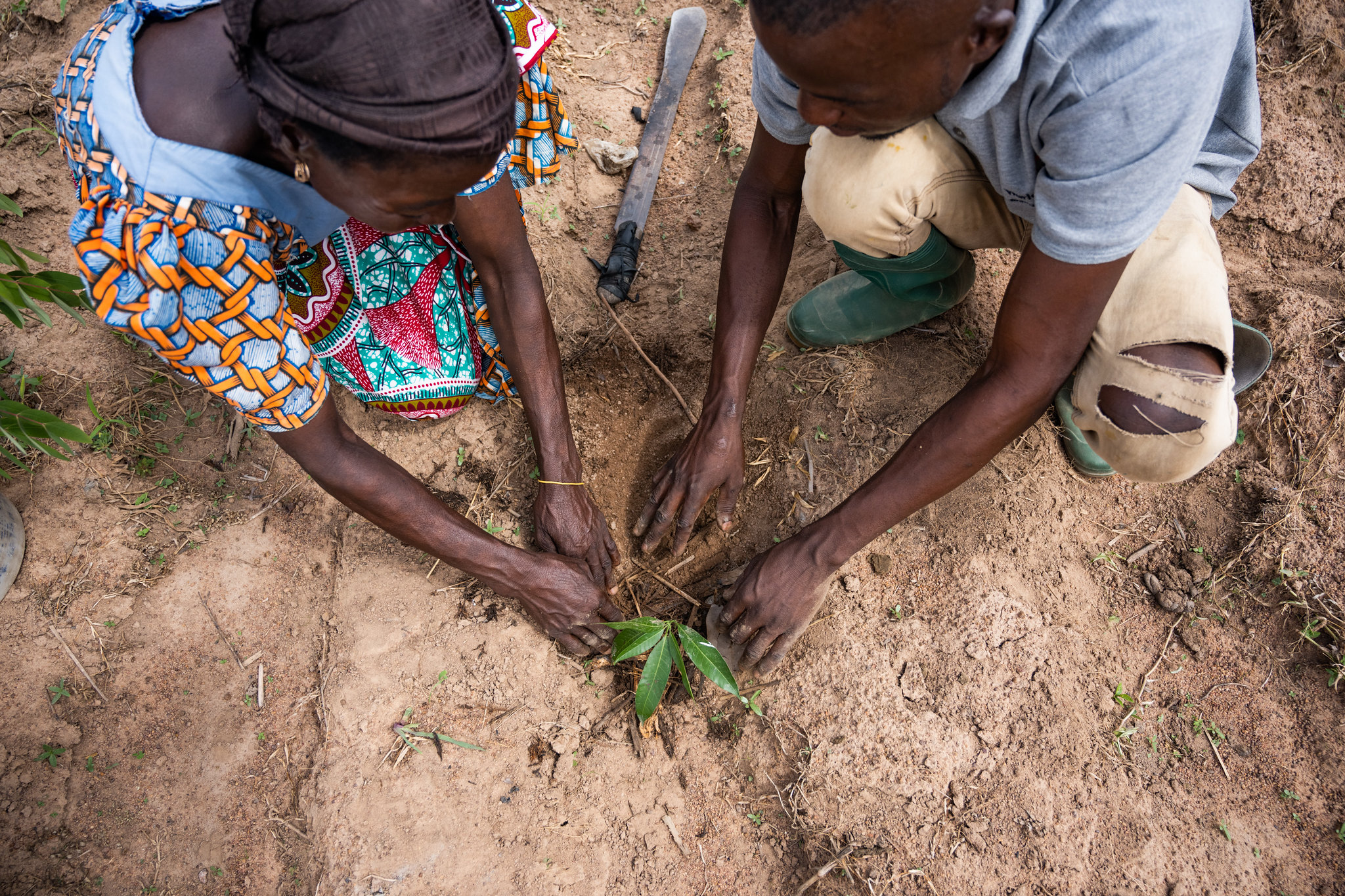Un llamado para priorizar la salud del suelo en los planes climáticos