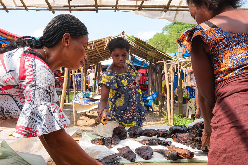 Q&A: Researcher Julia Fa on reconciling wildlife and wild meat