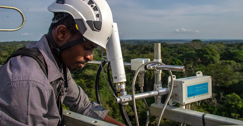 L’innovation en foresterie : Où se produit-elle ? Pourquoi est-elle importante ?