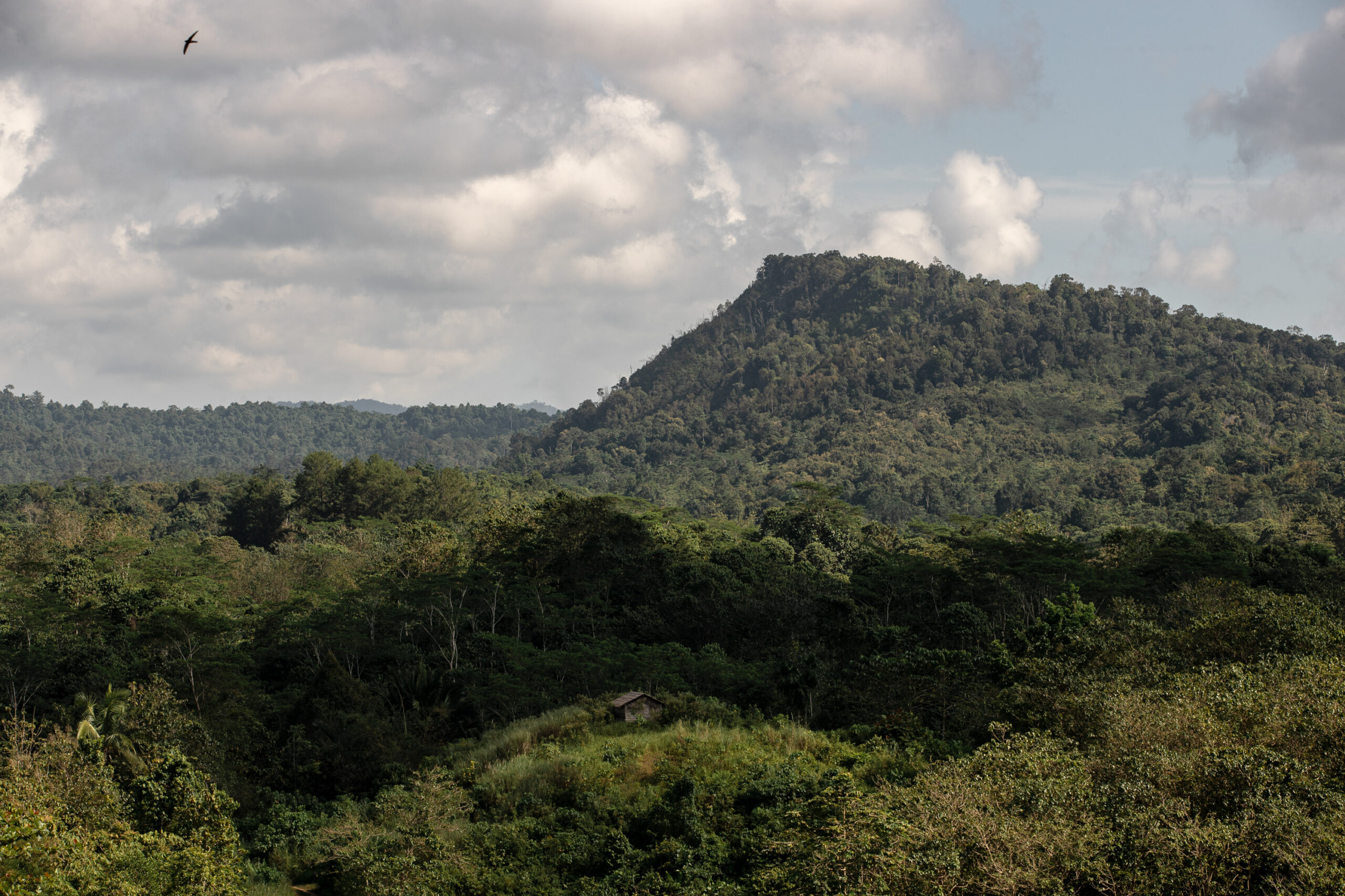 Menuju Asia Tenggara Bebas Kabut Asap