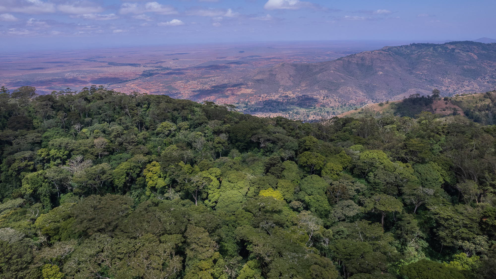 From national targets to grassroots transformation