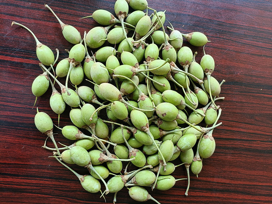 Butter from a tree? Try chiuri!