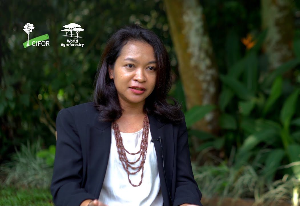 Berbagi Pengalaman Kegiatan Rehabilitasi Mangrove