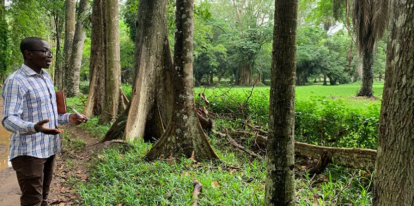 Les jardins botaniques de la Côte d’Ivoire : une ressource précieuse pour la conservation