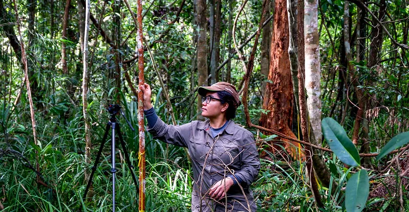 Comment faire les choses correctement avec les marchés du carbone