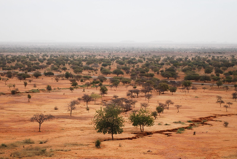 Actions are multiplying for the Great Green Wall initiative