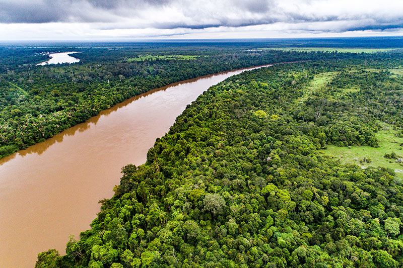 A journey across the world’s largest rainforests