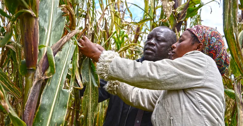 Étendre la portée de l’agroécologie