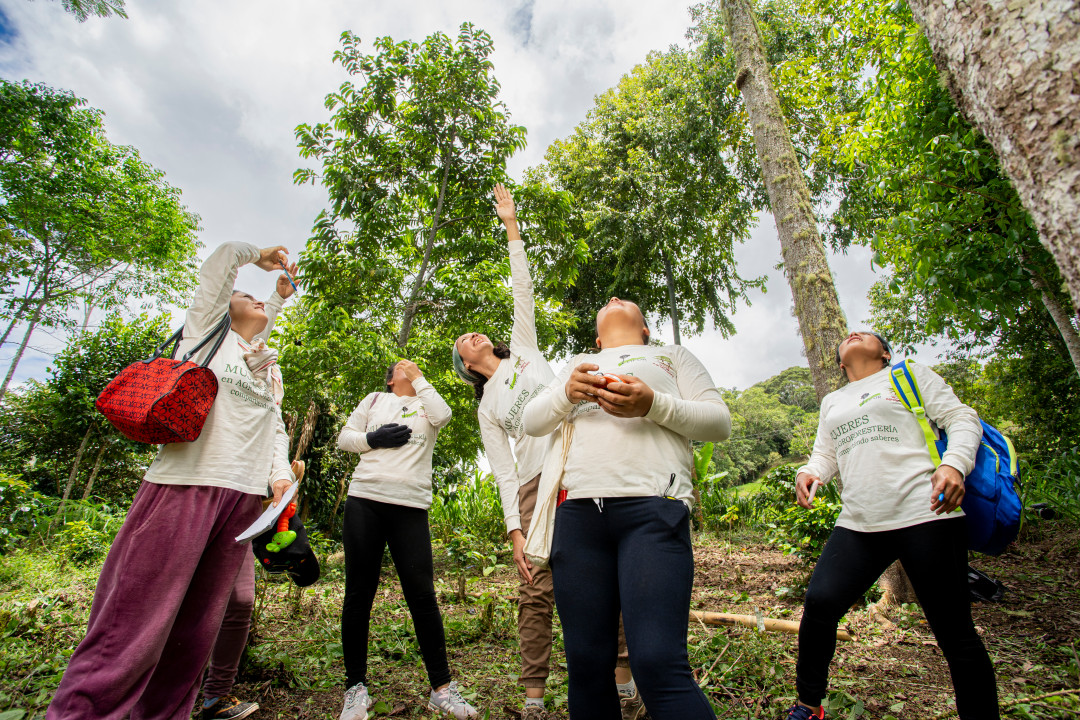 Mujeres y agroforestería: cuatro estrategias para la equidad y sostenibilidad en el ámbito rural