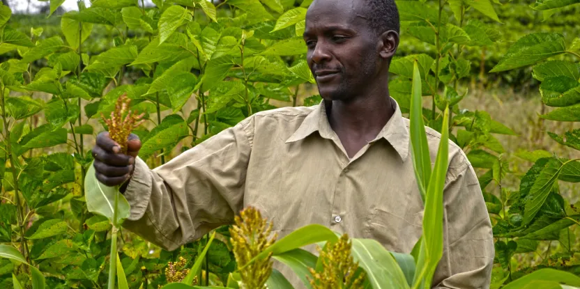 Des mesures qui comptent : les indicateurs d’un système agroalimentaire dans un monde fini