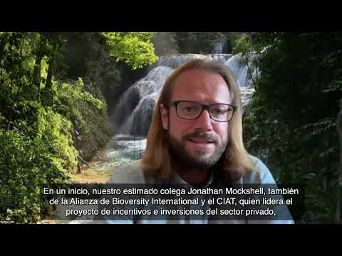 Seminario Web “Transiciones para nuestro futuro”
