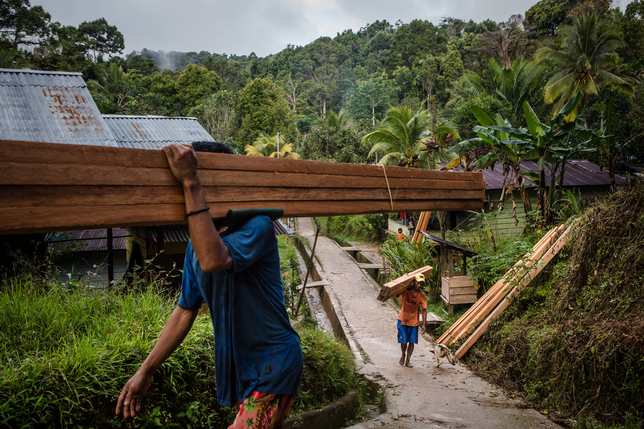 16 Istilah Kehutanan Berkelanjutan yang Perlu Kita Tahu
