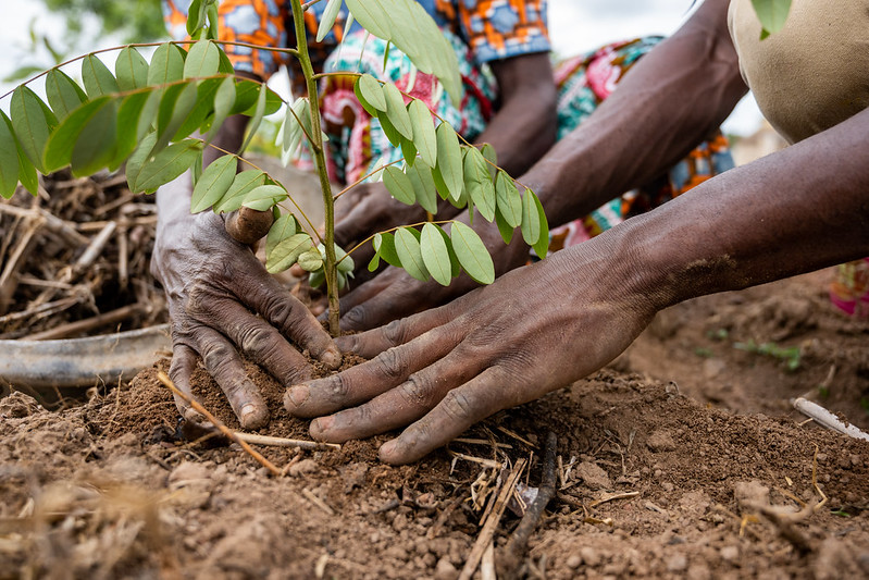 The road to African soil health