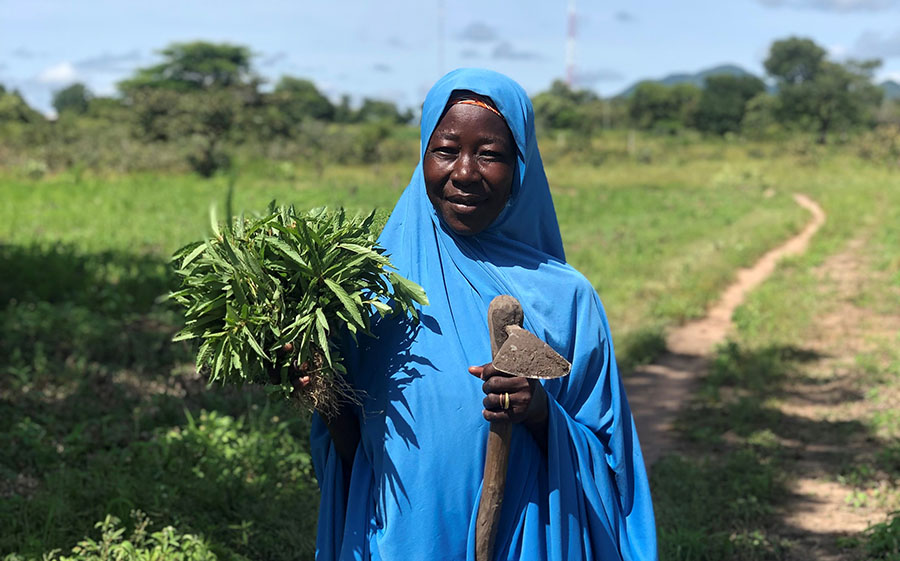 ‘Innovation niches’ approach fosters sustainable agrosilvopastoral efforts in northern Cameroon
