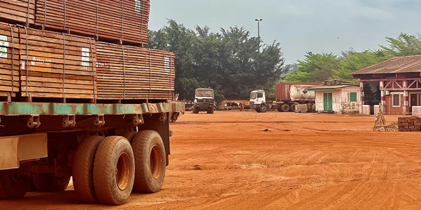 Qu’est-ce qui fait un bon bois ?