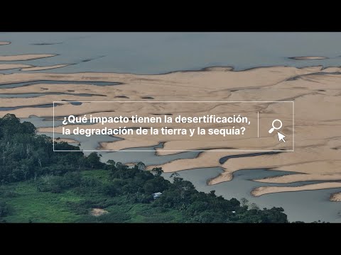 Día de la Desertificación y la Sequía – #Trees4Resilience