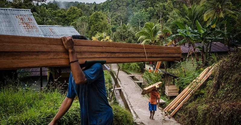 16 termes de la foresterie durable à connaître