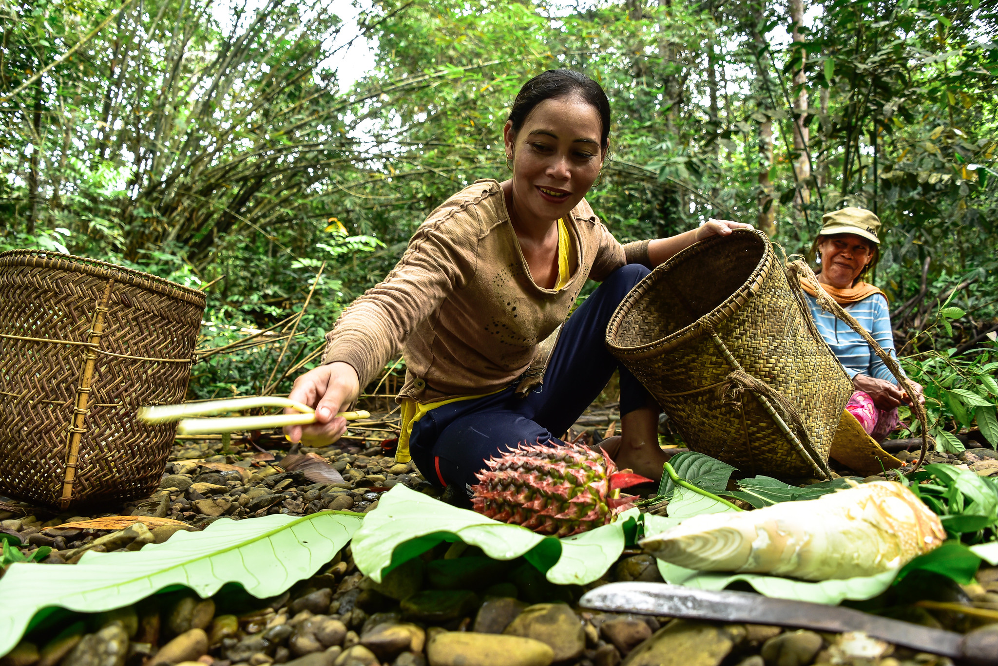 Hutan dan Kesehatan: Harmoni untuk Mendukung Masyarakat yang Sehat
