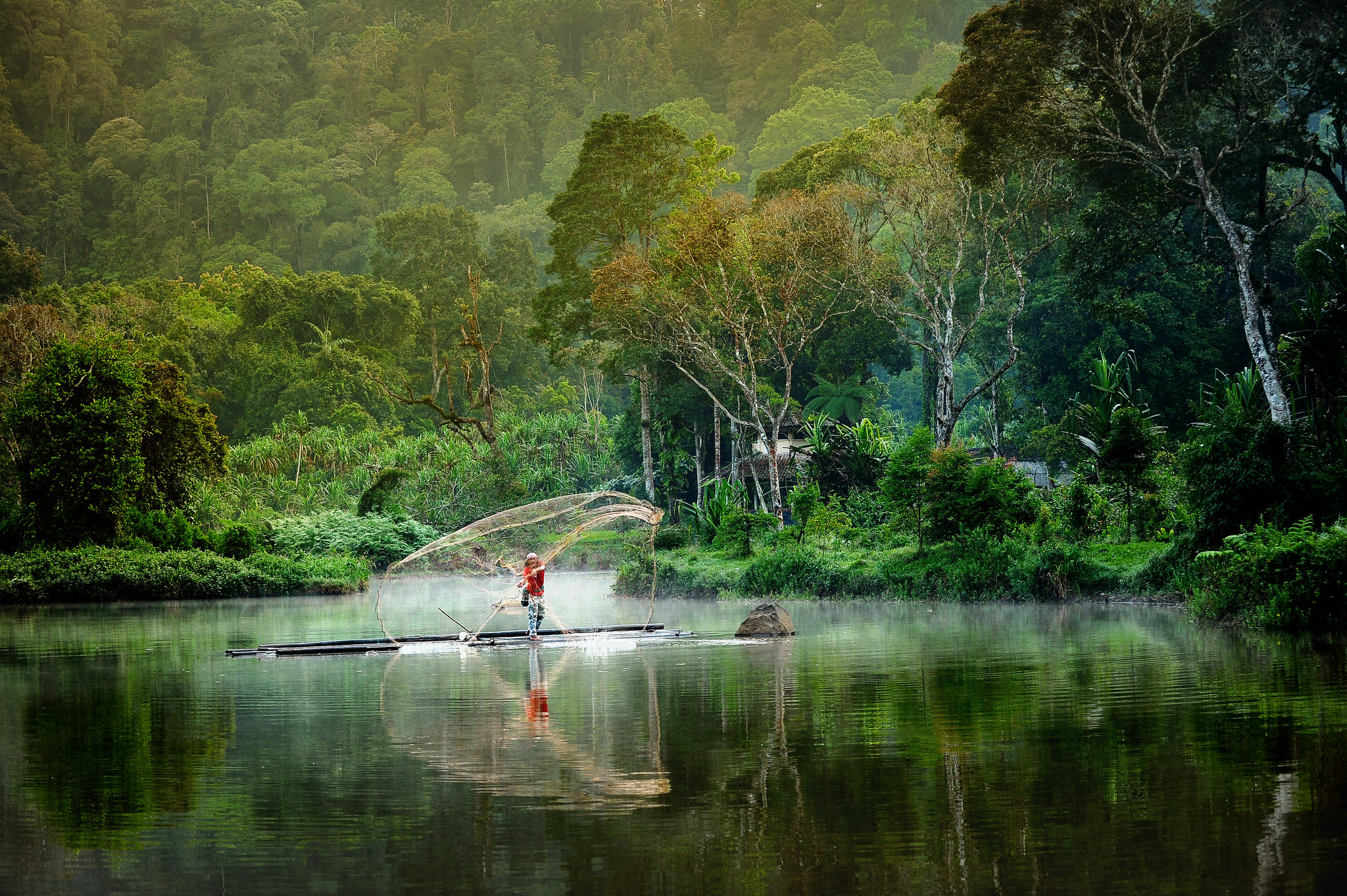 Descubrir lo que funciona mejor para potenciar los resultados de la conservación de los bosques